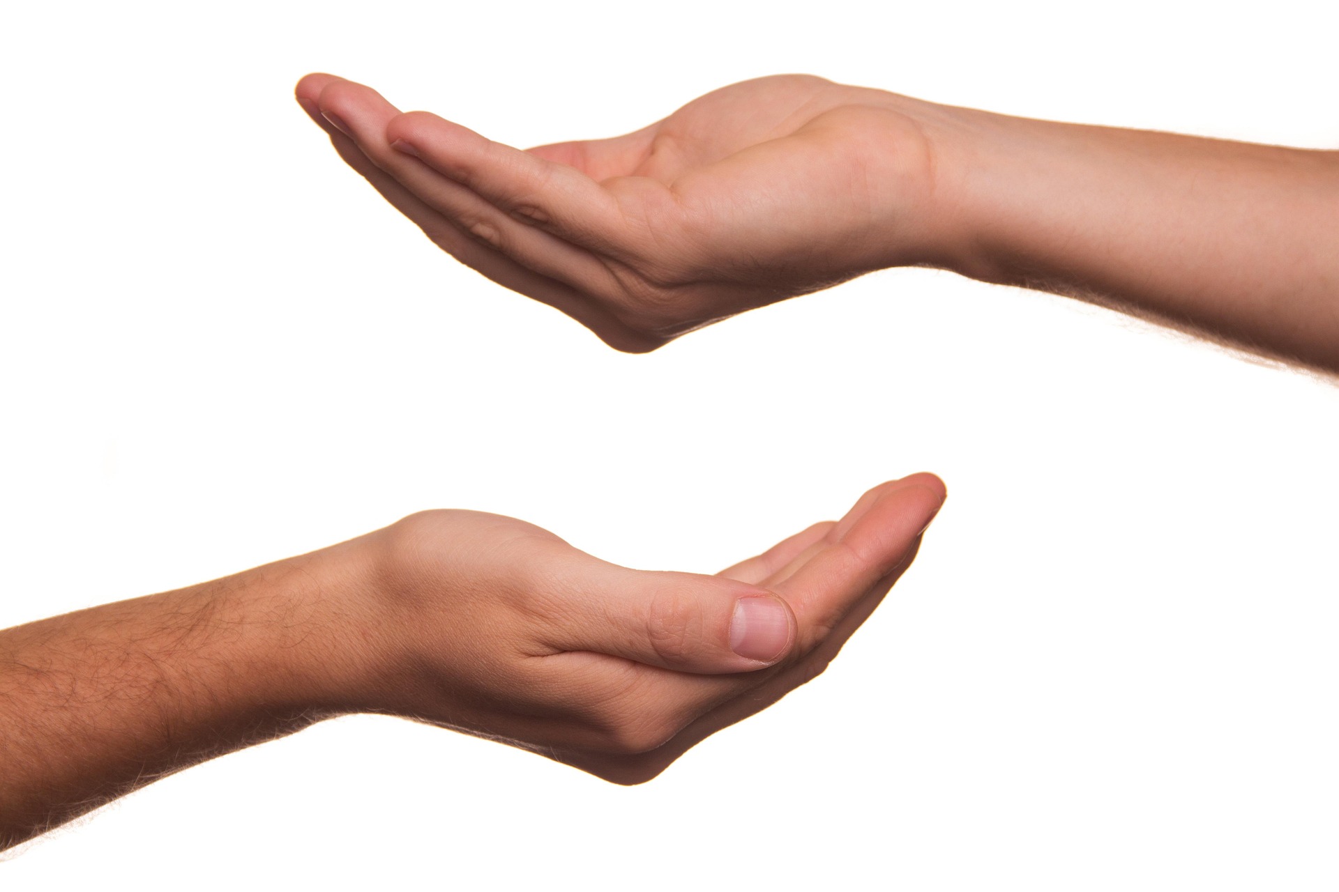 Will donations